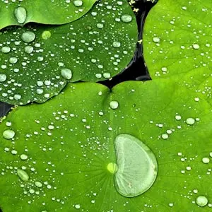 inventos de la historia