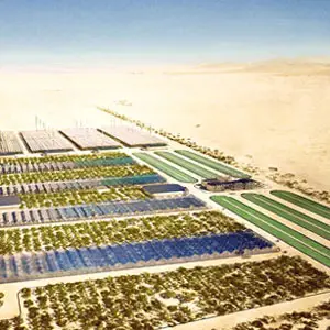 agricultura en el desierto de plantas halófitas agricultura en el desierto