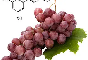 resveratrol