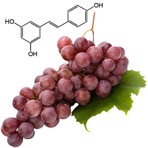 resveratrol