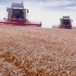 Contratar trabajos agrícolas a terceros