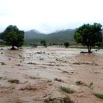 agricultura en zonas inundables