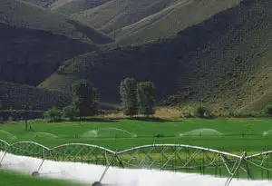 eficiencia del riego