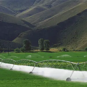 eficiencia del riego