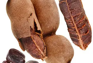 cultivo del tamarindo