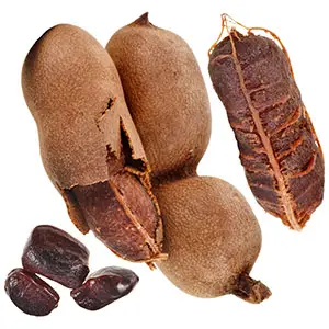 propiedades del cultivo del tamarindo cultivo del tamarindo