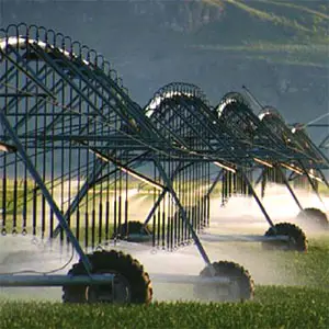 mejoramiento de cultivos y producción mejoramiento de cultivos