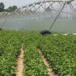 gestión del agua para producir cultivos