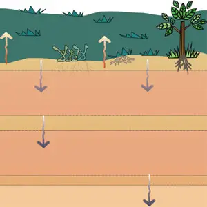 infiltración del agua