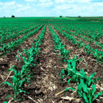 conservación del suelo agrícola