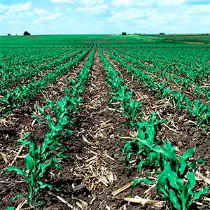 conservación del suelo agrícola conservación del suelo
