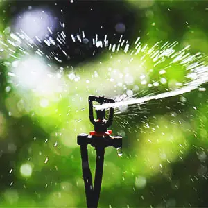 riego por microaspersión