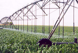 conservación del agua