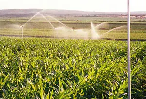 riego de cobertura