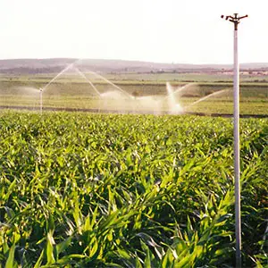 aspersores para riego de cobertura riego de cobertura