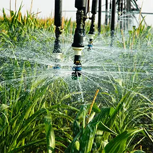 aplicación del riego