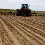 mejorar los beneficios agrícolas