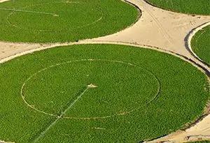 problemas de sequía