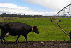 sistema de riego para pasto