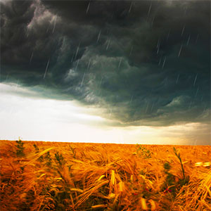 agricultura y clima