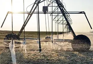 protección contra heladas