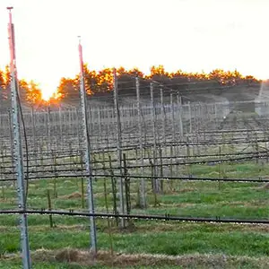 Pulsar Netafim antiheladas Pulsar Netafim