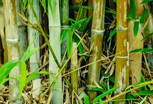 materiales naturales