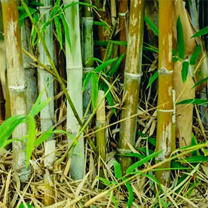 materiales naturales para muebles materiales naturales