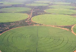 riego con Pivot circular