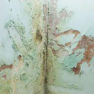 humedad en paredes por capilaridad