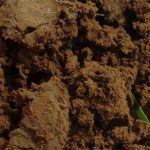 terreno agrícola