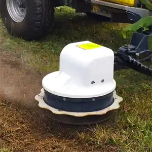 plantas adventicias y malas hierbas plantas adventicias