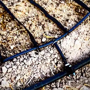 riego exudante con cinta riego exudante