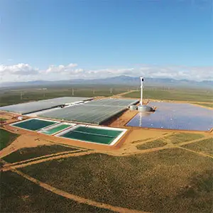 cultivos en el desierto