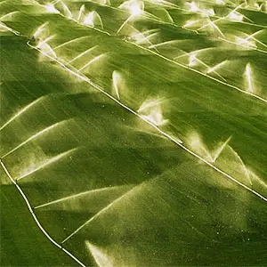 distribución de aspersores