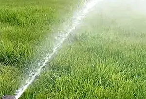 aspersor Signature 6000 PRO