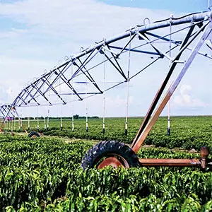 producción de café con Pivot producción de café