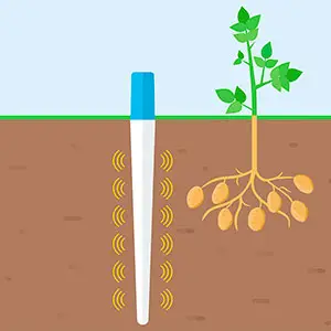 sondas de humedad electrónicas sondas de humedad