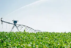 recomendaciones de riego