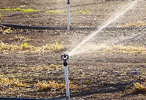 aspersor nelson r10t