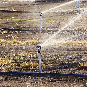 aspersor nelson r10t