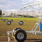 tecnología de cultivo