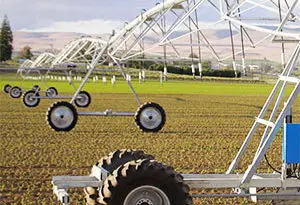 tecnología de cultivo