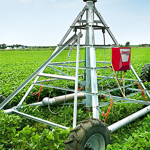 pivot trasladable