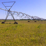 riego del arroz