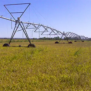 riego con Pivot del arroz riego del arroz
