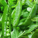 producir leguminosas