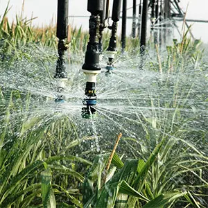 gestión de riego eficiente