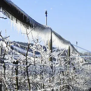 aspersor para heladas heladas