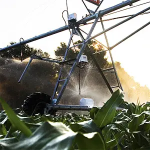 Pivote de riego agrícola Pivote agrícola